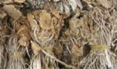 干锅茶树菇