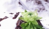 西藏雪莲花