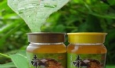 宁陕四亩地土蜂蜜