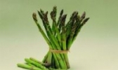 沙苑芦笋