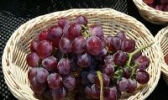 蒲城红提葡萄
