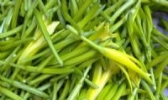 大荔黄花菜