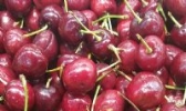 蒲城樱桃