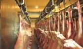 靖边羊肉