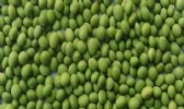 甘泉双青豆