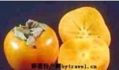 火晶柿子