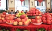 平凉金果