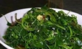 灰灰菜