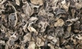 范坝黑木耳