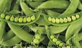 豌豆产品