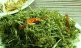 野生鹿角菜