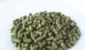 玉门酒花