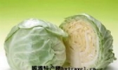 榆中莲花菜
