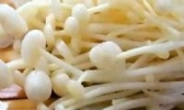 毛柄金钱菌