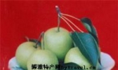 兰州软儿梨