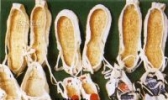 甘谷工艺麻鞋