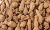 门源蕨麻