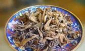 玉树藏药