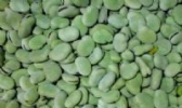 湟中蚕豆