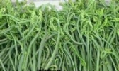 山地野生蕨莱
