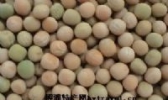 白豌豆