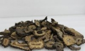 石河子肉苁蓉
