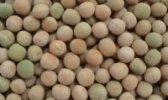 木垒白豌豆