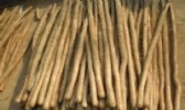 皮山山药