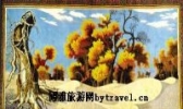 和田地毯