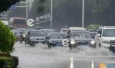 山东进入清凉多雨模式 省内各地气温30℃左右