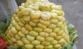 喀什无花果