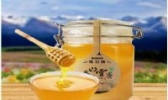 伊犁特克斯天山蜜源