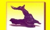 阿勒泰珠宝