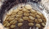 沙木萨