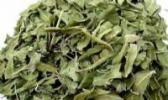 新疆罗布麻花茶