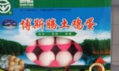 博斯腾土鸡蛋