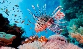 重庆汉海海洋公园