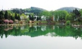 四明山森林公园