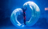 天津海昌极地海洋公园