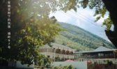 太华横岭97号