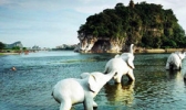 桂林市区水上游