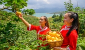 连州地下河
