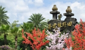 田野绿世界
