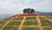 静山湖