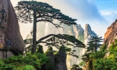 黄山