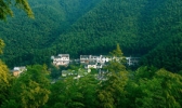 木坑竹海