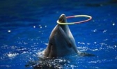 福州罗源湾海洋世界
