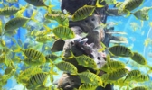 梅溪海立方环游城