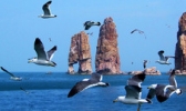 长岛海上游