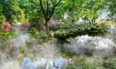 武汉植物园